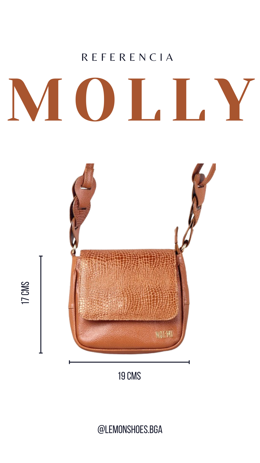 BOLSO MOLLY